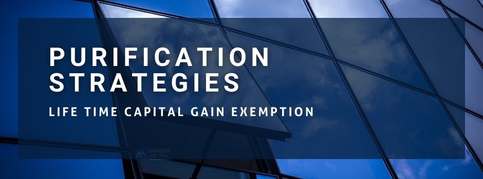 Purification Strategies for lifetime capital gain exemption